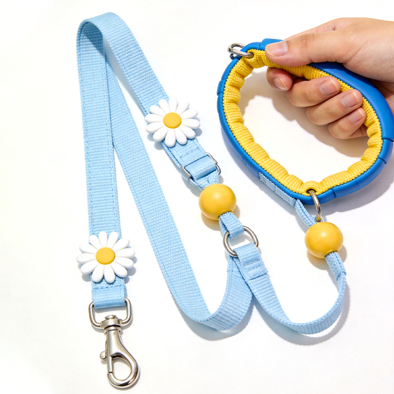 Daisy Embellished Pet Leash & Collar Set